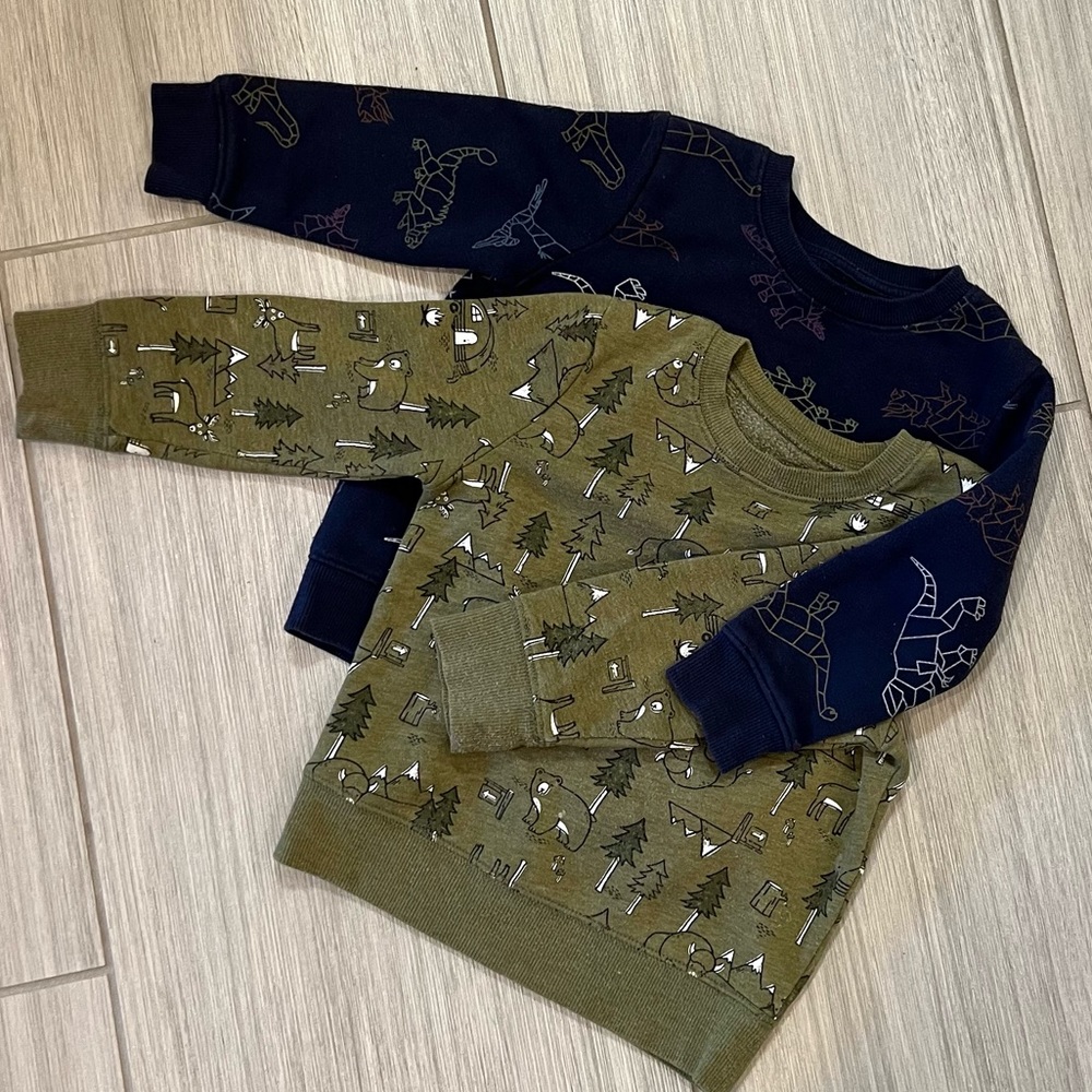 3T Sweatshirt Bundle (2 sweatshirts)